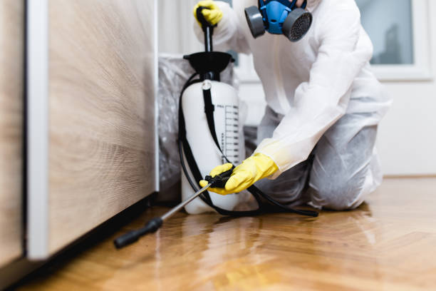 Best Commercial Pest Control Services  in Burns Flat, OK
