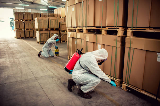 Best Pest Prevention Services  in Burns Flat, OK