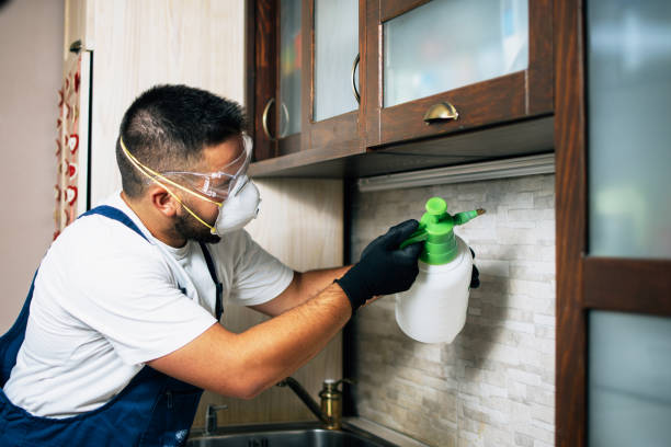 Best Best Pest Control Companies  in Burns Flat, OK