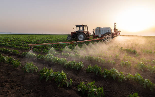 Pest Control Cost in Burns Flat, OK