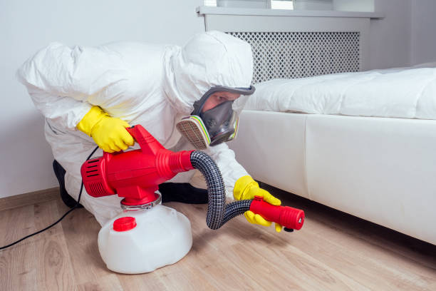 Professional Pest Control in Burns Flat, OK