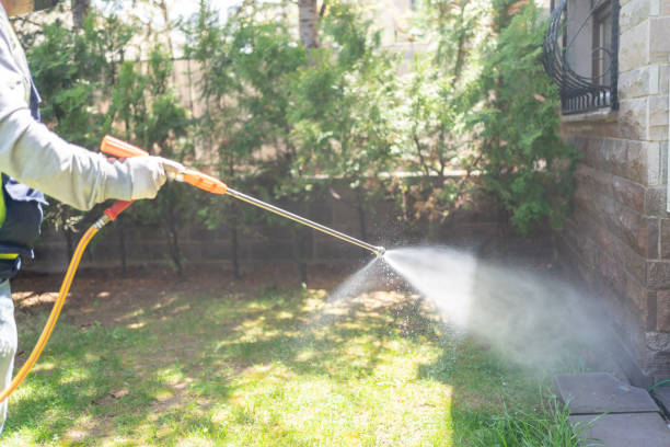 Best Affordable Pest Control Services  in Burns Flat, OK
