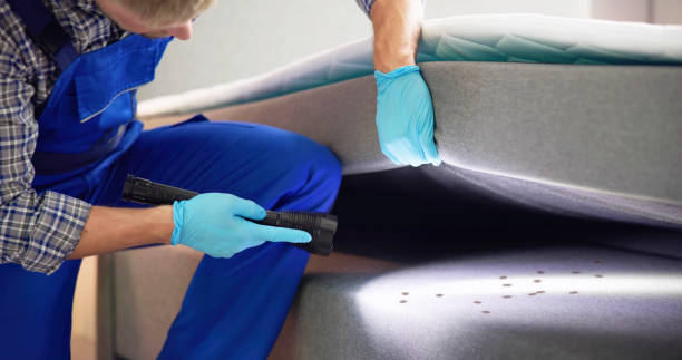 Best Local Pest Control Services  in Burns Flat, OK