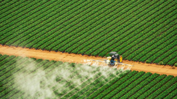 Best Pest Control Cost  in Burns Flat, OK