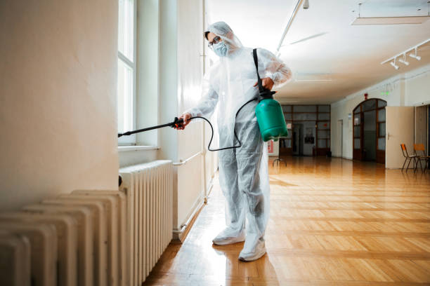 Best Rat Extermination Near Me  in Burns Flat, OK