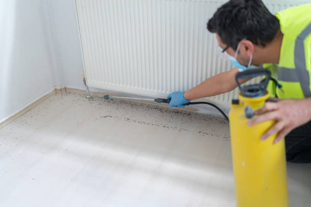 Burns Flat, OK Pest Control Pros